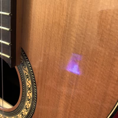 Daniel Mendes Eight String Guitar 2018 Cedar / Brazilian Rosewood image 13