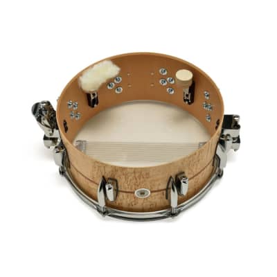 Sonor Benny Greb Signature Snare Drum 2.0 13x5.75 Scandinavian Birch image 4