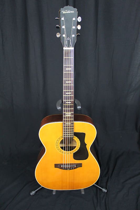 Ventura Bruno V-12 Acoustic Guitar MIJ Natural