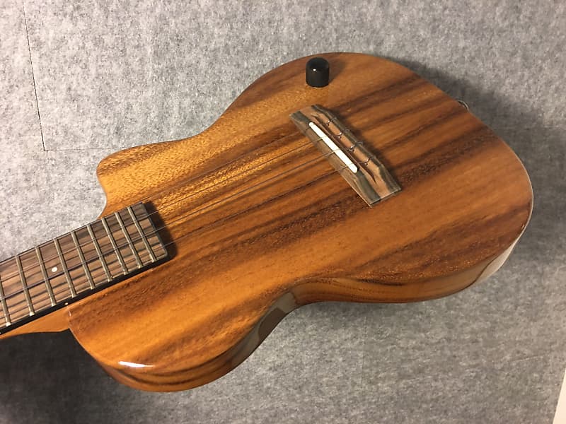Pono TE-D Tenor Thinbody Electric with Case 2019 natural gloss
