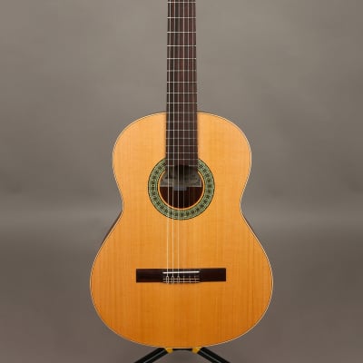 Paco Castillo 201 Solid Top Spanish Handmade Classical Guitar for sale