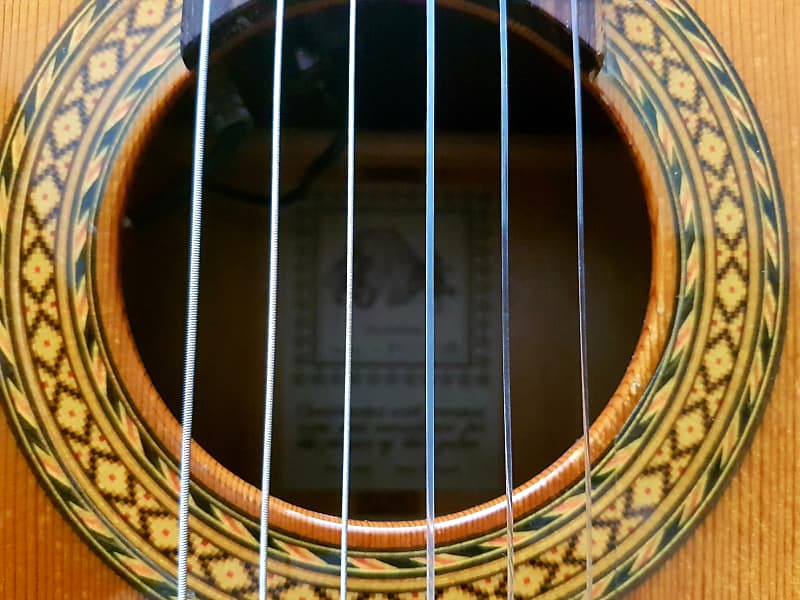 Takamine Flamenco 1999