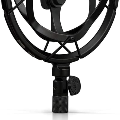  Blue Compass Premium Tube-Style Broadcast Boom Arm with Kellopy  Pop Filter & 20' XLR Cable Bundle : Musical Instruments