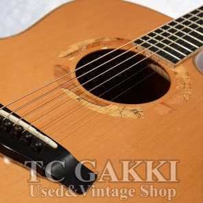 Yokoyama Guitars AR CM image 5