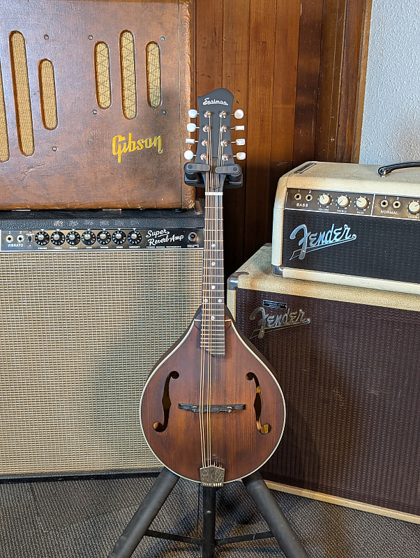 Eastman MD305 A-Style Mandolin w/ Gig Bag - Classic Satin Finish (Serial #N2405518) image 1