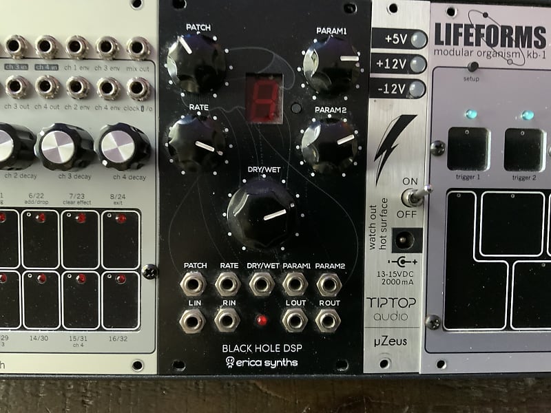Erica Synths Black Hole DSP 2