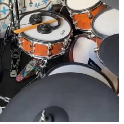 Drum-tec pro S 4 in bubinga hout pro S5 2020 image 2