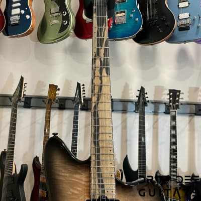 Balaguer DDG Exclusive Select Series Growler Electric Guitar w/ Bag-See-Thru Two-Tone Black Edge Burst image 9