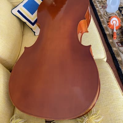 Eastman Signature 4/4 Cello image 2
