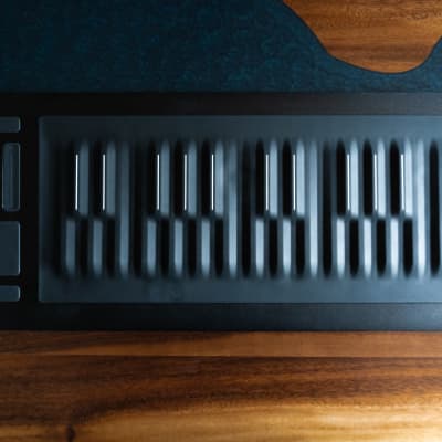ROLI Seaboard RISE 25 USB MIDI キーボード ROLI Seaboard RISE 25 Key USB MIDI Controller - Perfect Circuit