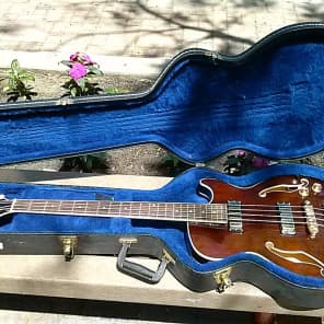 Ibanez ARTCORE AGB200 TBR 4 STRING BASS WITH HARDSHELL CASE