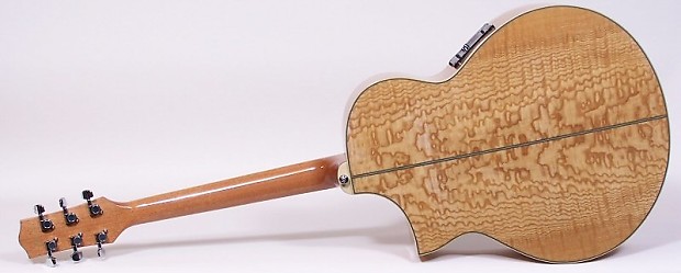 Ibanez exotic wood series ew20asent cheap