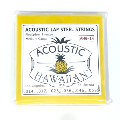 Asher Acoustic Hawaiian Lap Steel Strings 2024 for Weissenborn, 6 string acoustic lap steel image 1