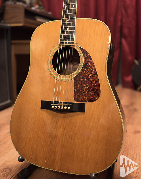 Fender F 250