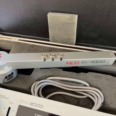 Akai Professional RARE EVI1000 Controller and EWV2000 Synth Module w/cable image 7