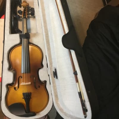 Josef Jan Dvorak 3/4 Violin 1999 | Reverb Canada
