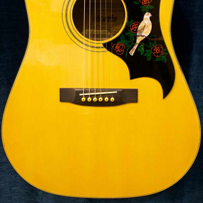 ギター tokai hummingbird custom w-200 ギター tokai hummingbird custom w-200 Tokai Hummingbird W