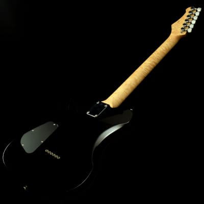 Addictone Arena Echo（Trans Purple） AddicTone Custom Guitars ARENA ECHO Trans Purple [SN 489