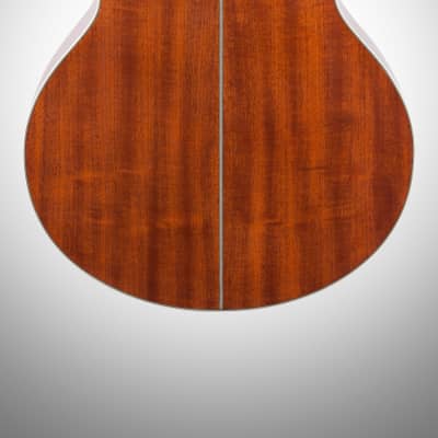 Ibanez AEB105E Acoustic-Electric Bass, 5-String image 7