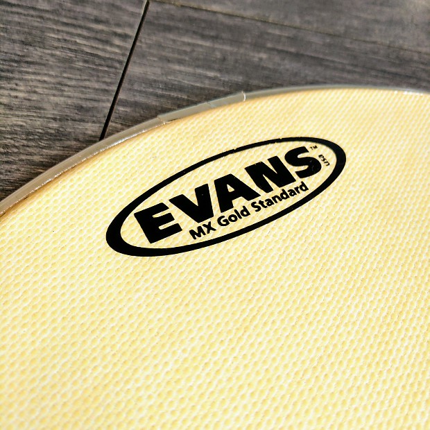 Evans 13" MX Gold Standard Marching Snare Drum Head Reverb