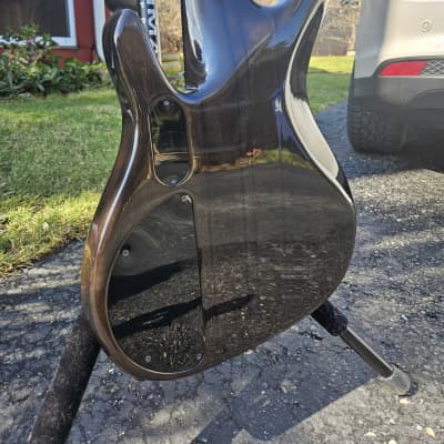 Peavey TL-Six 6 string bass, Bartolini upgrade image 6