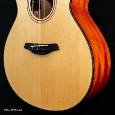 Furch - Green - Grand Auditorium Cutaway - Sitka Spruce - Mahogany Back/Sides - LR Baggs Stagepro Element - 1 - Hiscox OHSC image 3
