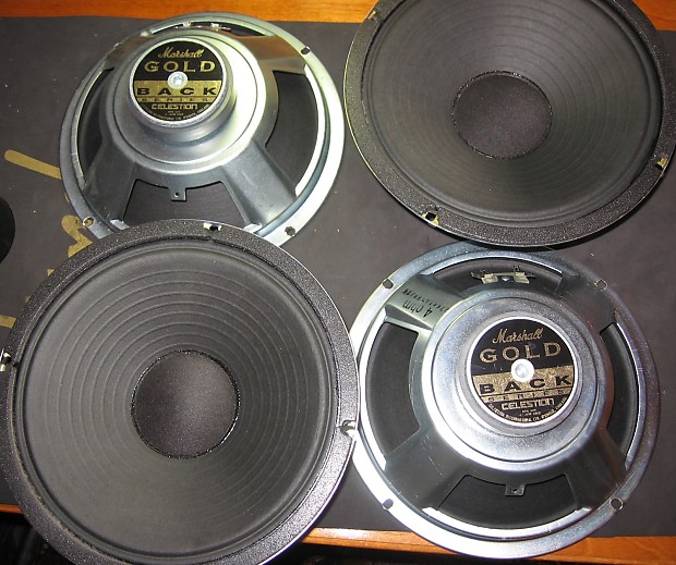 Marshall gold back sales celestion