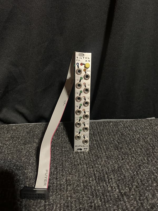 Animodule TikTok Clock Divider Multiplier Reverb