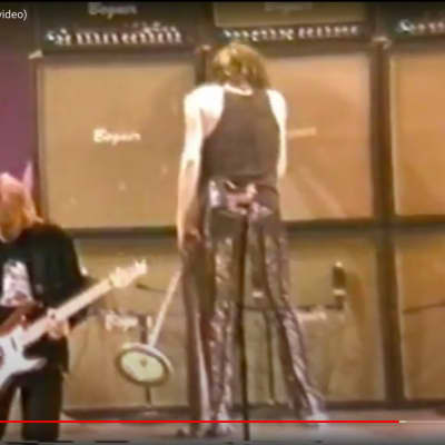 Bogner Brad Whitford's Aerosmith Custom Shop, 4x12 Authenticated! (#165) image 2
