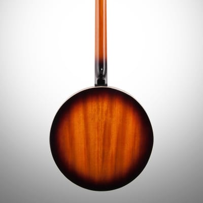 Washburn B10 Five String Banjo image 5
