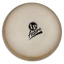 LP Quinto Replacement Head  10 Rawhide