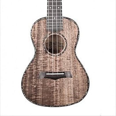 Snail RT-C Stained Solid Mahogany Gloss Concert Ukulele for sale
