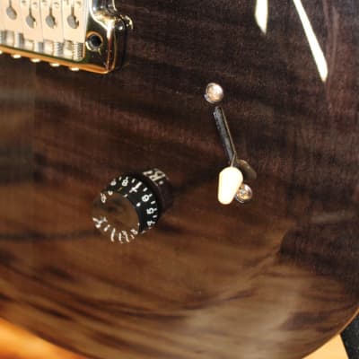 PRS 2013 SE Custom 24 Electric Guitar image 5