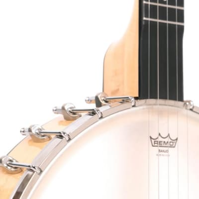 Gold Tone BC-350 Bob Carlin Banjo w/case, Right-Handed, New, Free Shipping, Authorized Dealer, Demo Video! image 15
