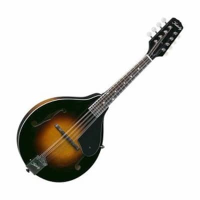 Rover RM-75 Translucent Amber Mandolin