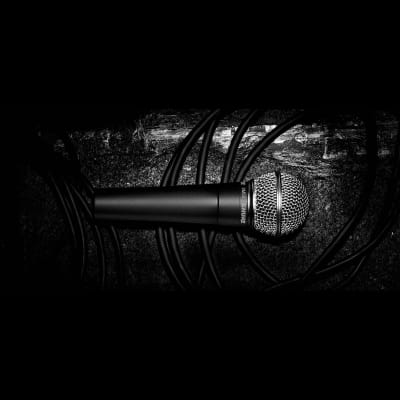SM 58 Shure image 3