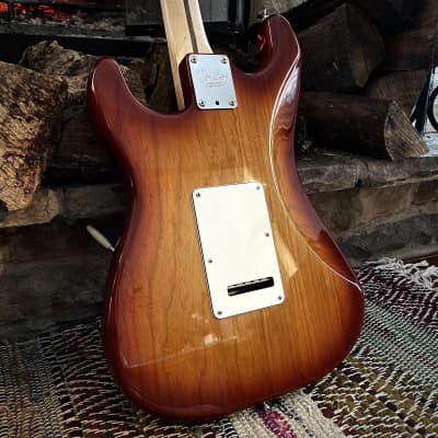 Fender American Professional Stratocaster Translucent Blond Medium Relic image 15