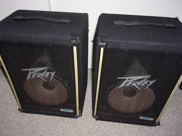 Peavey 110dl 2025