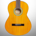 Ibanez GA3 Classical Guitar