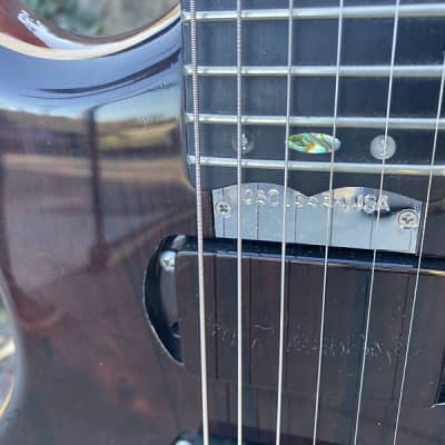 Alembic Custom Guitar (Pre-Owned) w/bag image 2