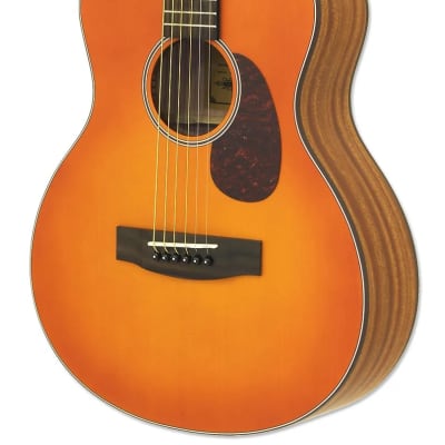 ARIA ARIA-151SM SUPER MARIO Mini Acoustic Guitar Body Mini | Reverb