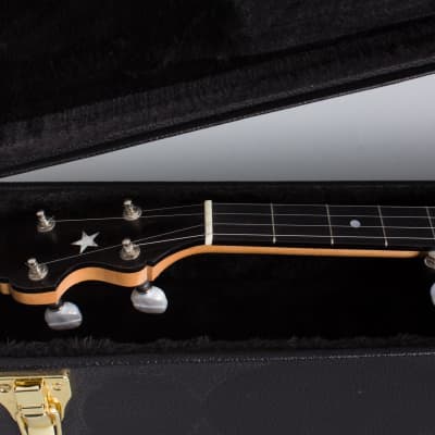 Bart Reiter  Special 5 String Banjo (2017), ser. #4430, black tolex hard shell case. image 11
