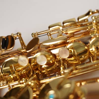 [In Stock]_Freeshipping! Yanagisawa Alto saxophone A WO-2 [AWO2]Bronze Brass Body image 9