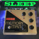 Electro-Harmonix Deluxe Memory Man  1990’s Panasonic MN3005