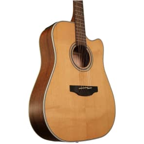 Takamine GD20CE Acoustic Guitar (GD20CE) image 6