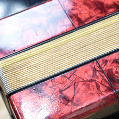Hohner Erica 2-Row 8-Bass 21-Treble Button G-C Red Diatonic Accordion w/Case image 23