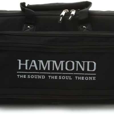Hammond Sk1-73 Gig Bag image 1
