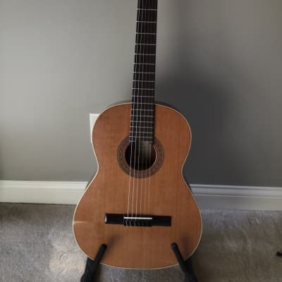 Ortega Traditional Series R200 2020s - Natural Classical Guitar for sale