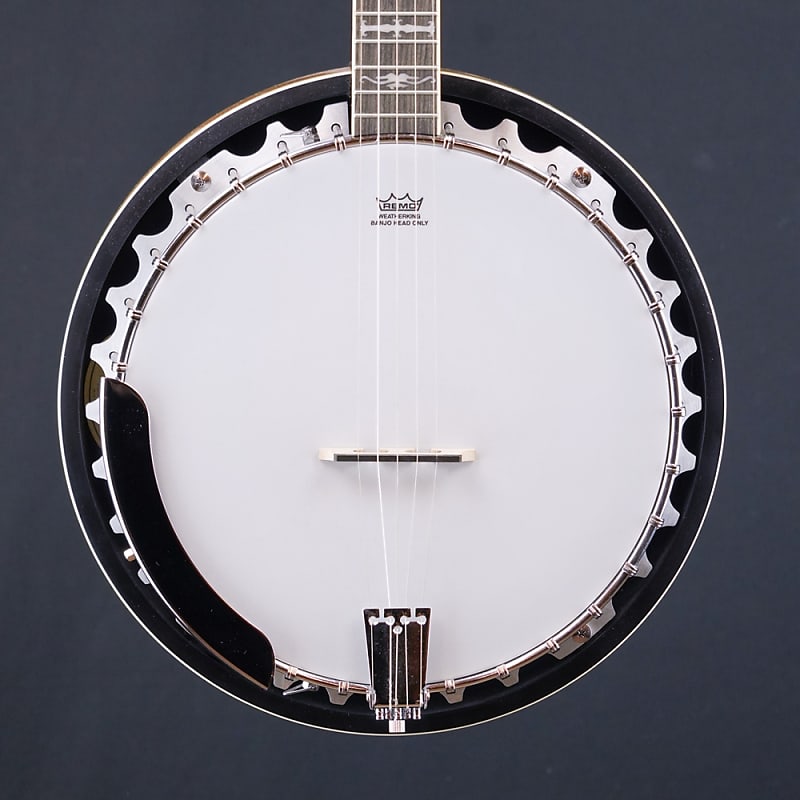 Used Washburn B10 Banjo with Resonator Reverb