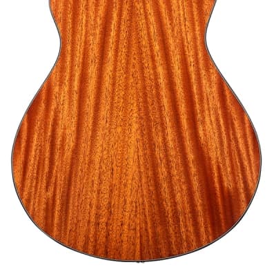 Breedlove Wildwood Concert CE African Mahogany-African Mahogany, Acoustic-Electric, Mint image 5